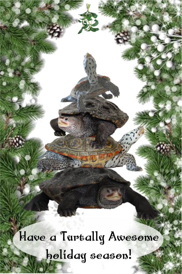 Have a Turtally Awesome holiday and new year!